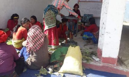 दुनाटपरी बनाएर आत्मनिर्भर बन्दै नवलपरासीका महिला