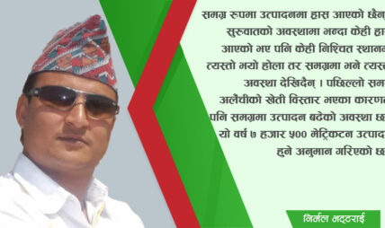 ‘उत्पादन बढेकाले अलैँचीको मूल्यमा केही गिरावट आयो, आत्तिनु पर्ने अवस्था भने छैन’