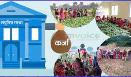 लघुवित्तको भूमिका : गरिबलाई धनी बनायो, ५९ लाख महिला आत्मनिर्भर बने